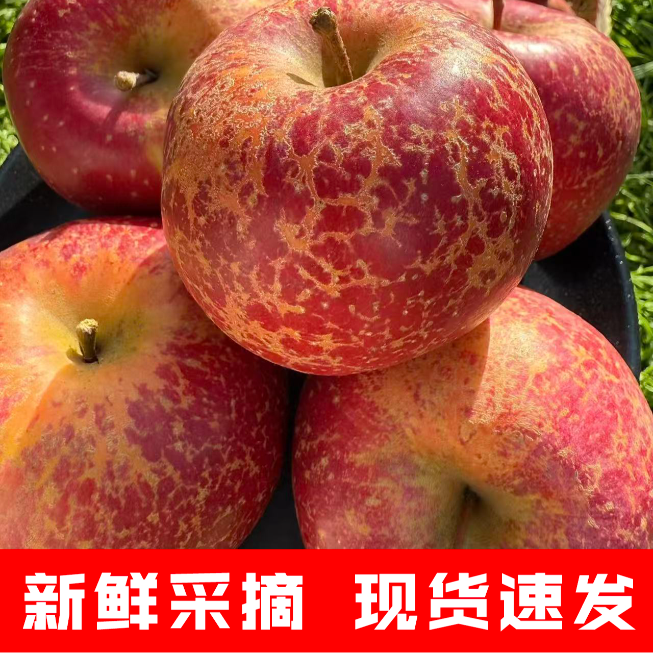 云南昭通丑苹果脆甜多汁糖心丑苹果便宜当季水果