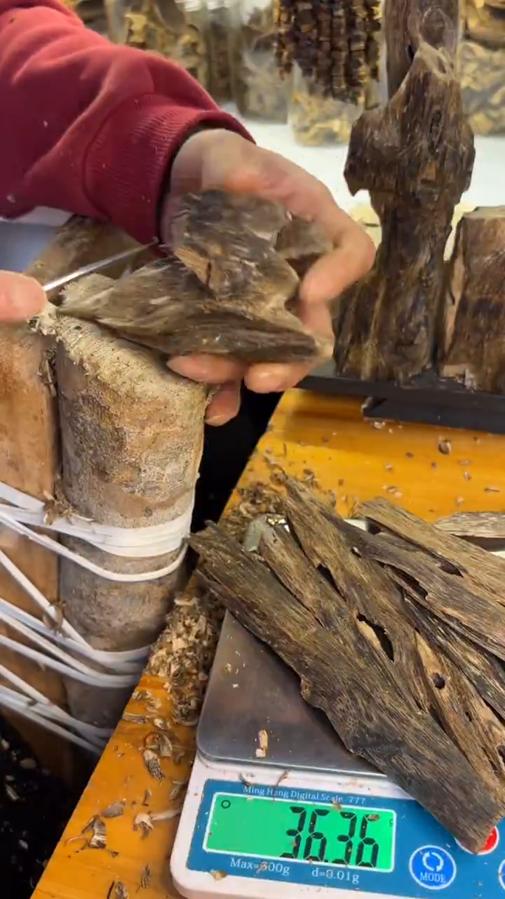 沉香沉香碎屑排油36克