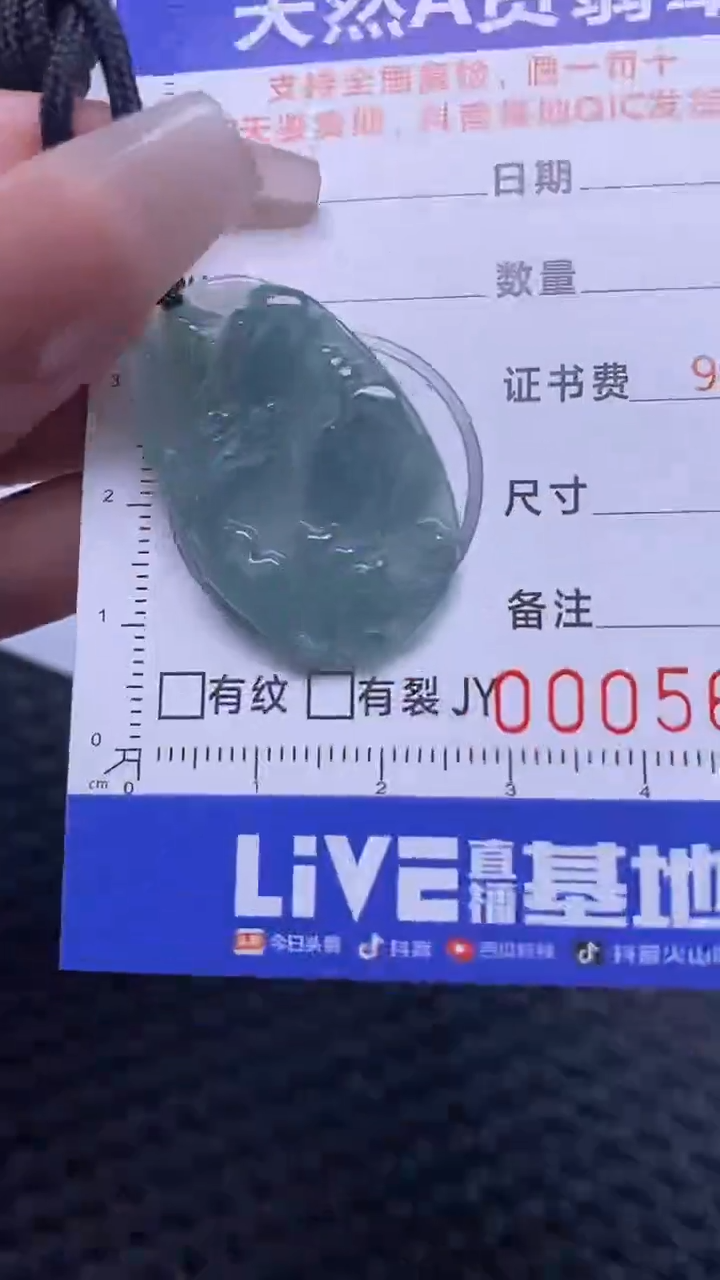 翡翠未镶嵌颈饰多样性发货 只发一件