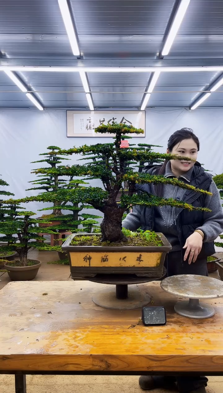 无花朵一物一拍，所见即所得