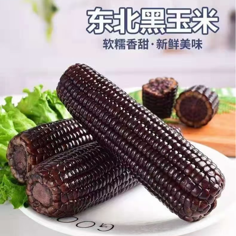 （试吃两根）2025年鲜采黑糯玉米10送2单支280-350g（整箱7.5斤左右）