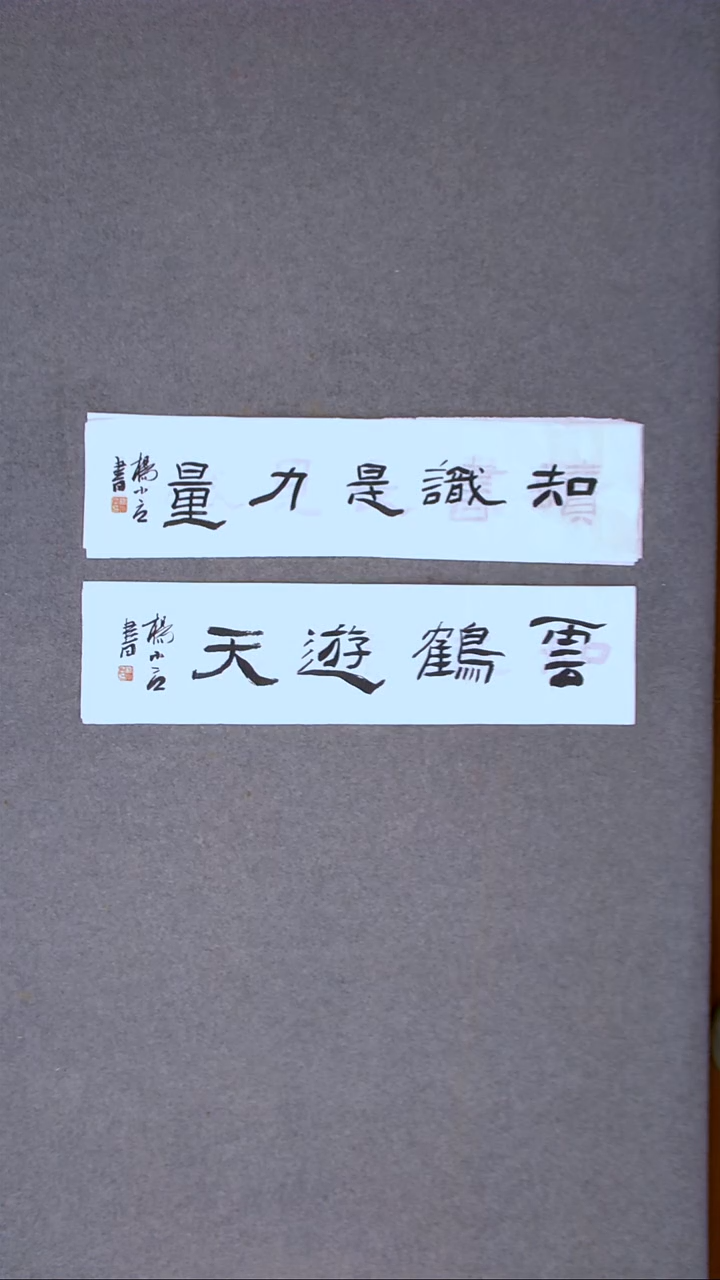 书法杨小立 河南南阳69*17*2一平尺两张