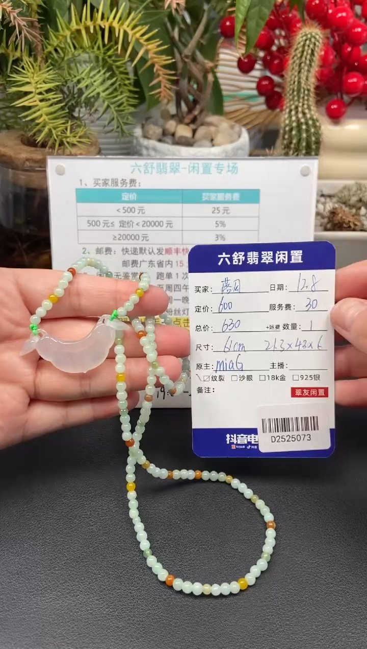 颈饰未镶嵌翡翠落****海D2525073