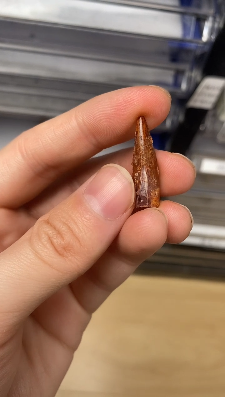 精美摆件创意礼物家居配饰新年礼物个人收藏