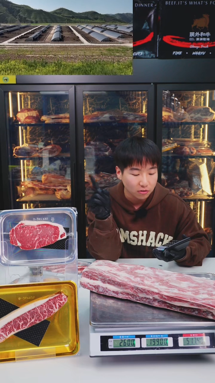 12个月中国大陆2.6kg  a1牛腩排
