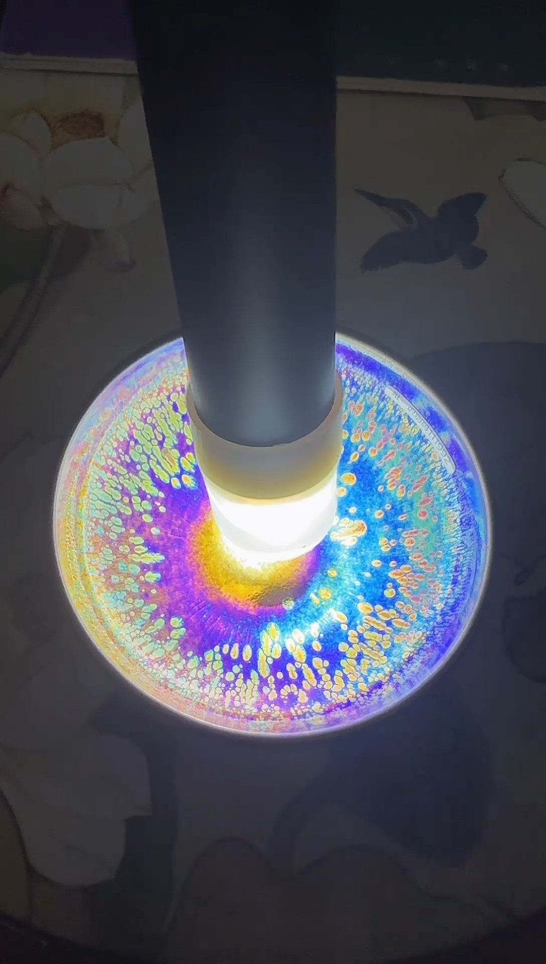 茶盏福建工美收藏专场7