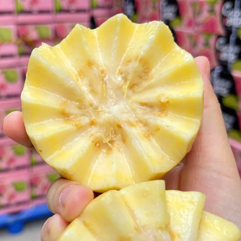《丹选》哈森黄金奶油芭乐 2.5斤左右 礼盒 树熟  顺丰包邮  
