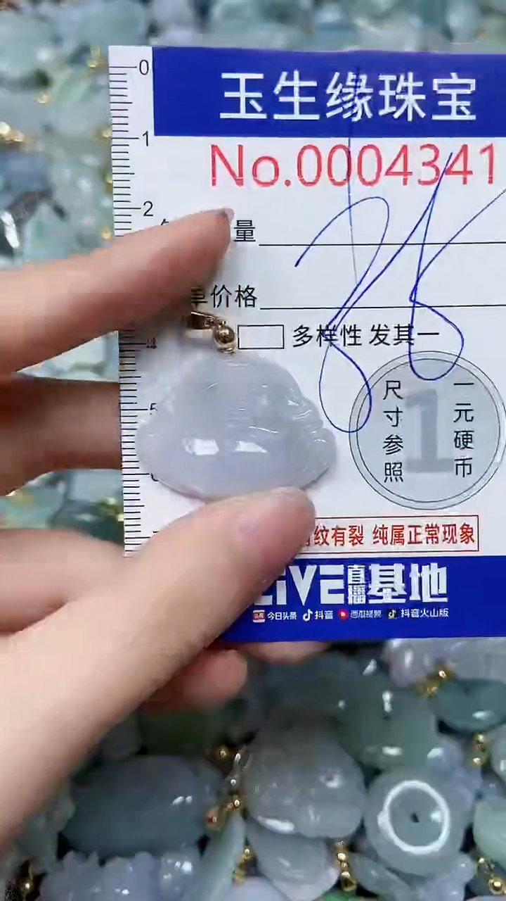 【闪购商品】翡翠颈饰未镶嵌闪购00004341