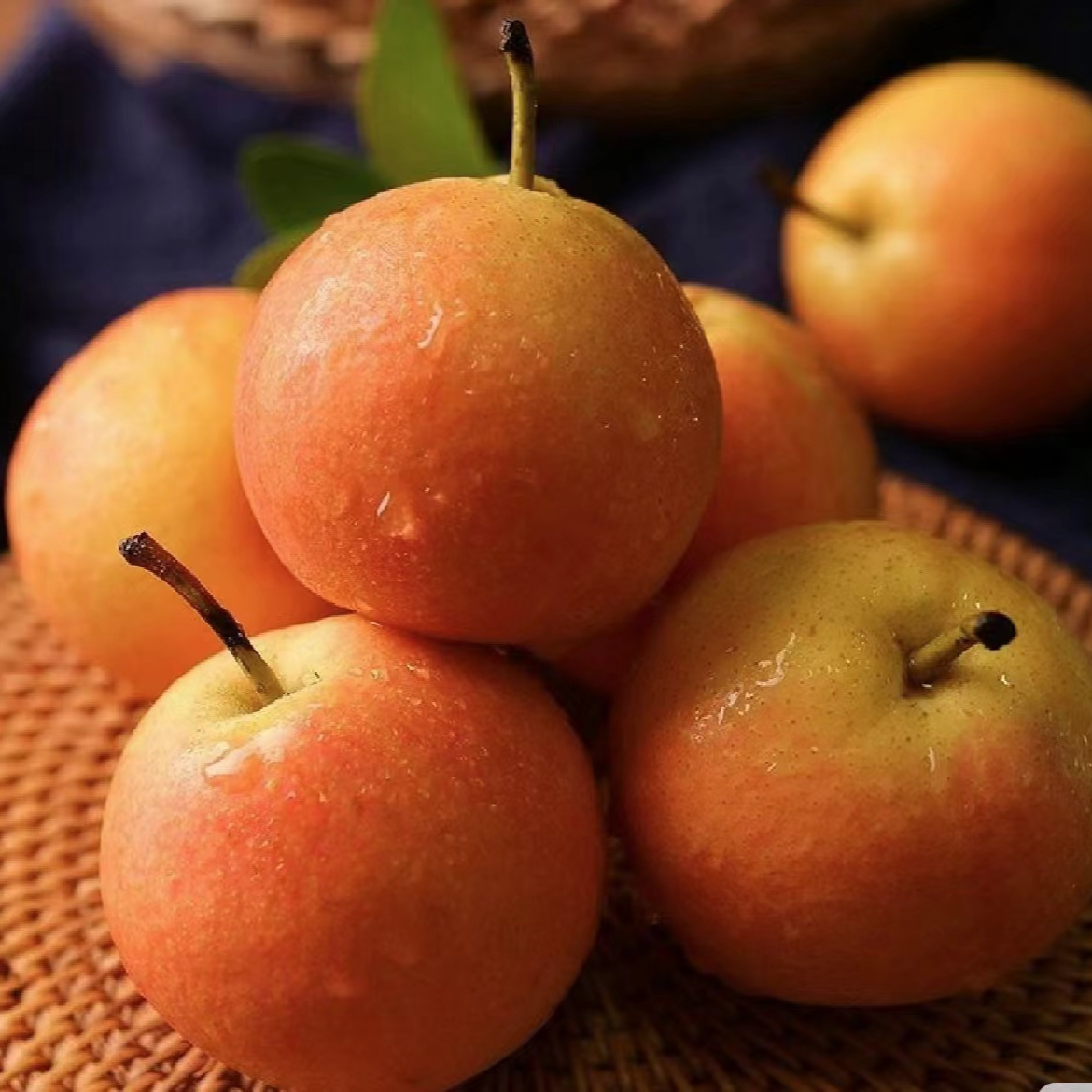 【南果梨】鞍山南果梨当季新鲜水果顺丰包邮