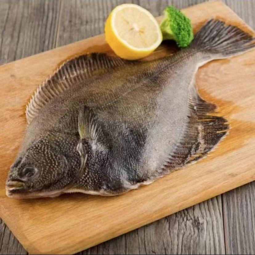 新鲜海捕深海 鲽鱼 500克/条左右 到手5斤（4-5条左右）