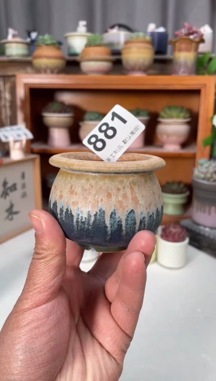 瓷片881小芳直播编号