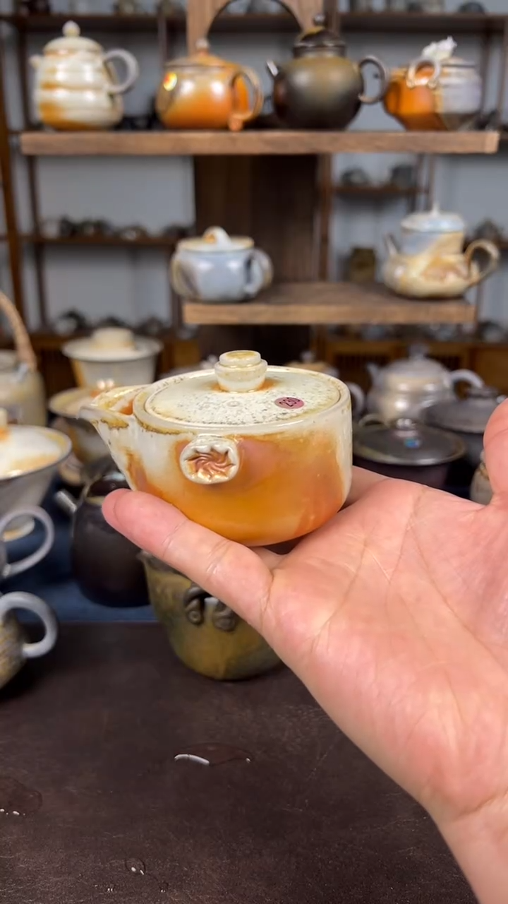 【闪购商品】其他乘风茶器——宝瓶230号