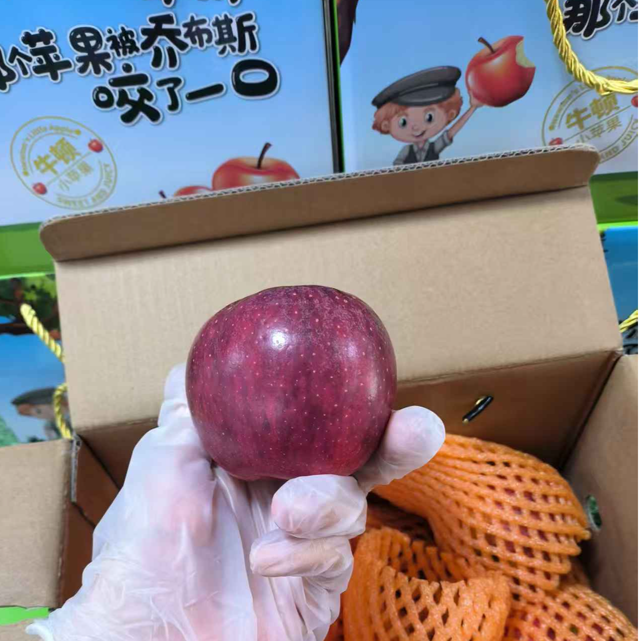 【敦化中心市场】牛顿 苹果 同城小时达云南省