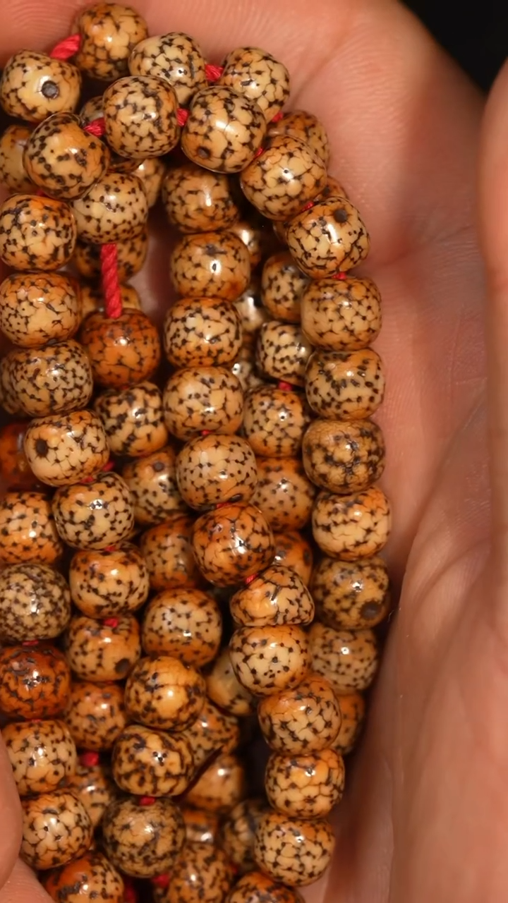 冲赛康胡子哥，藏传念珠224