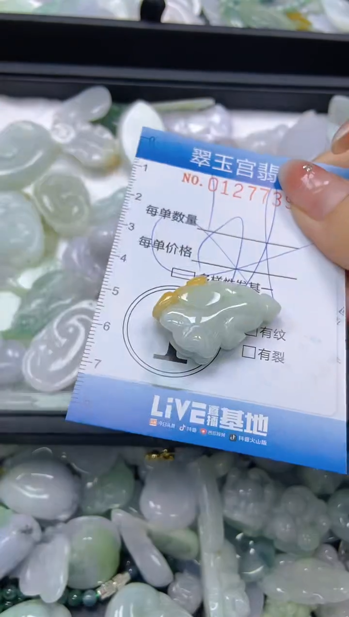 翡翠未镶嵌颈饰闪购0127739