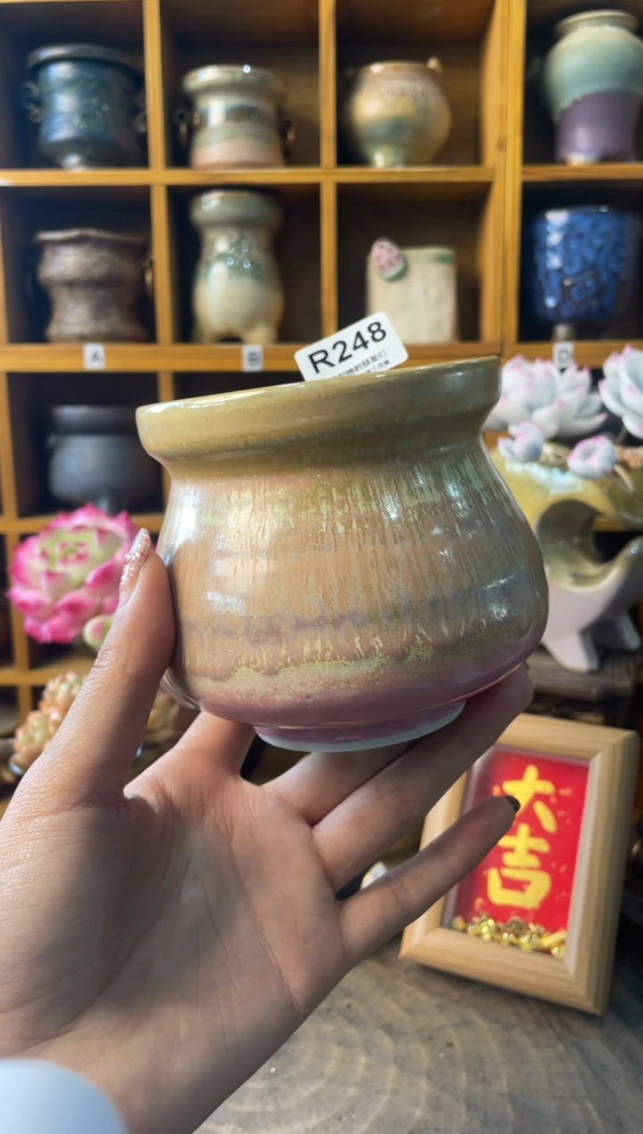 248内口8【多肉花盆多肉盆】