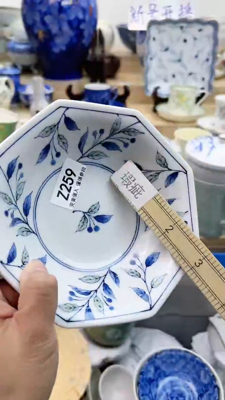 【闪购商品】瓷片259