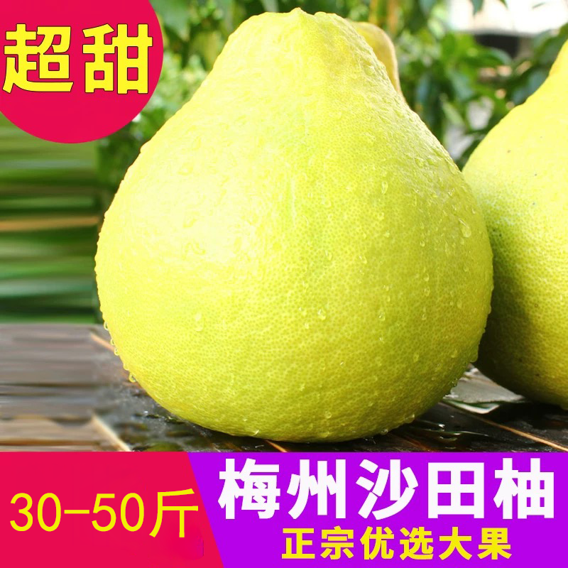 （30-50斤装）正宗梅州沙田柚纯甜无酸新鲜采摘头茬尝鲜礼赠佳品