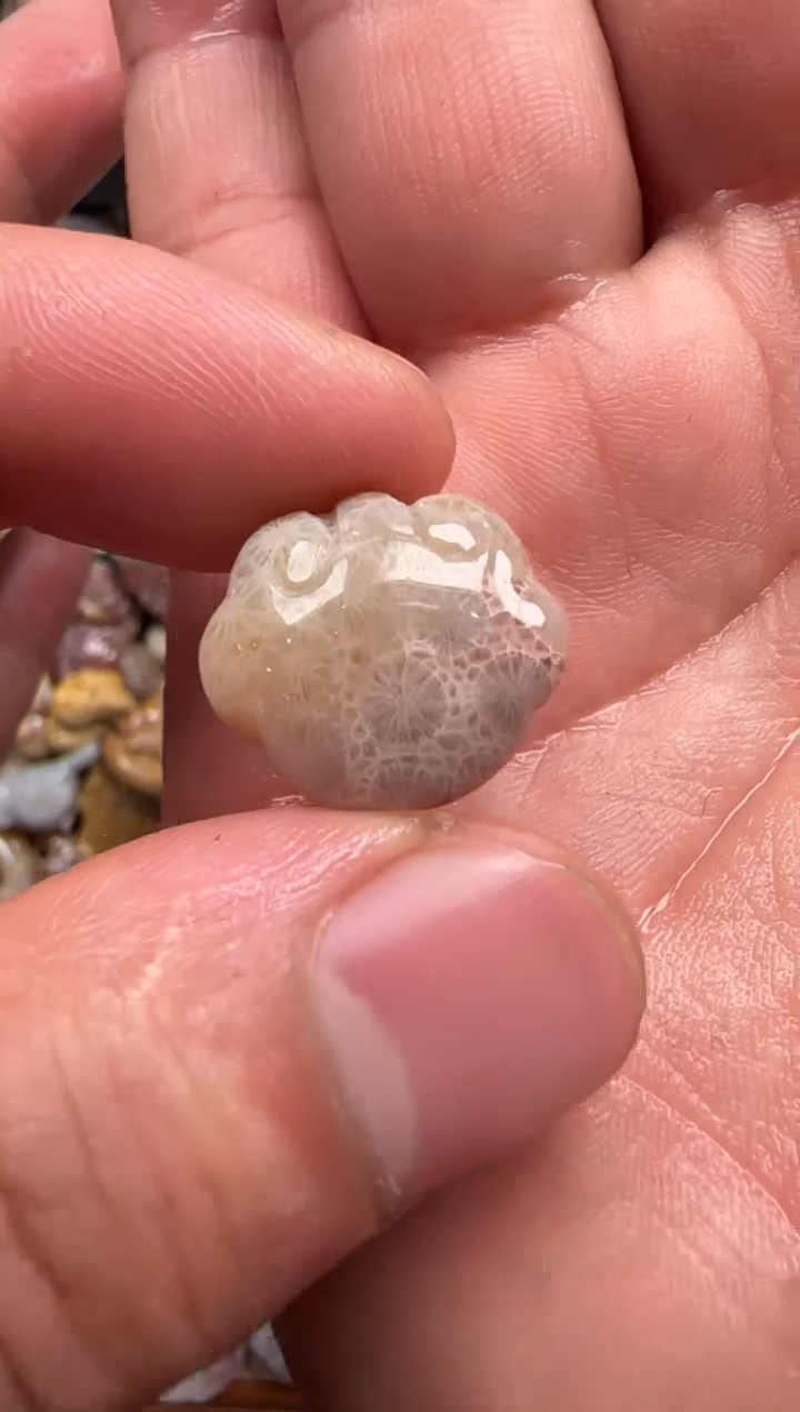 【闪购商品】硅化珊瑚（珊瑚玉）颈饰未镶嵌088