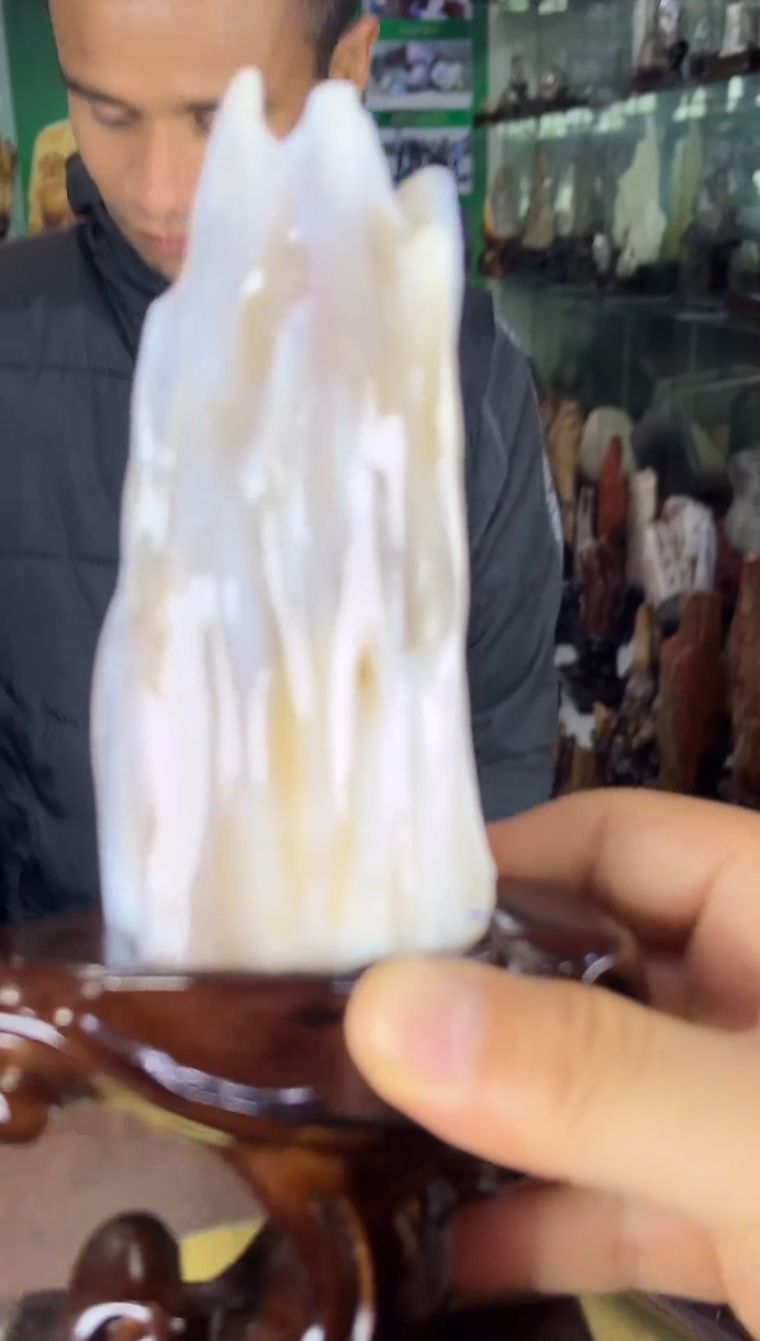 未镶嵌珠宝奇石硅化玉缅甸天然树化玉摆件