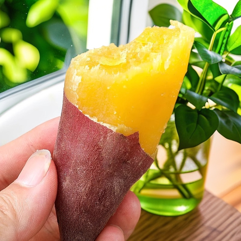 【到手5斤】新鲜现挖软糯香甜黄心天目山小香薯粗粮早餐辅食