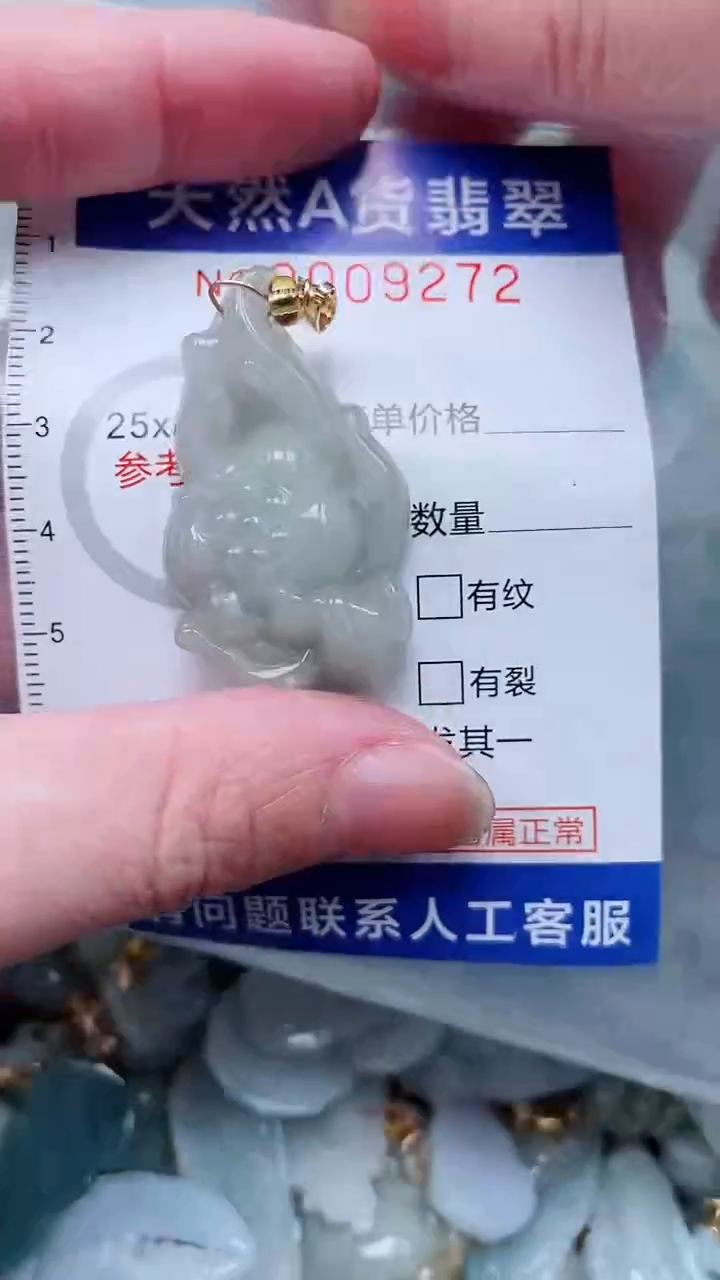 翡翠未镶嵌吊坠(不含链)11