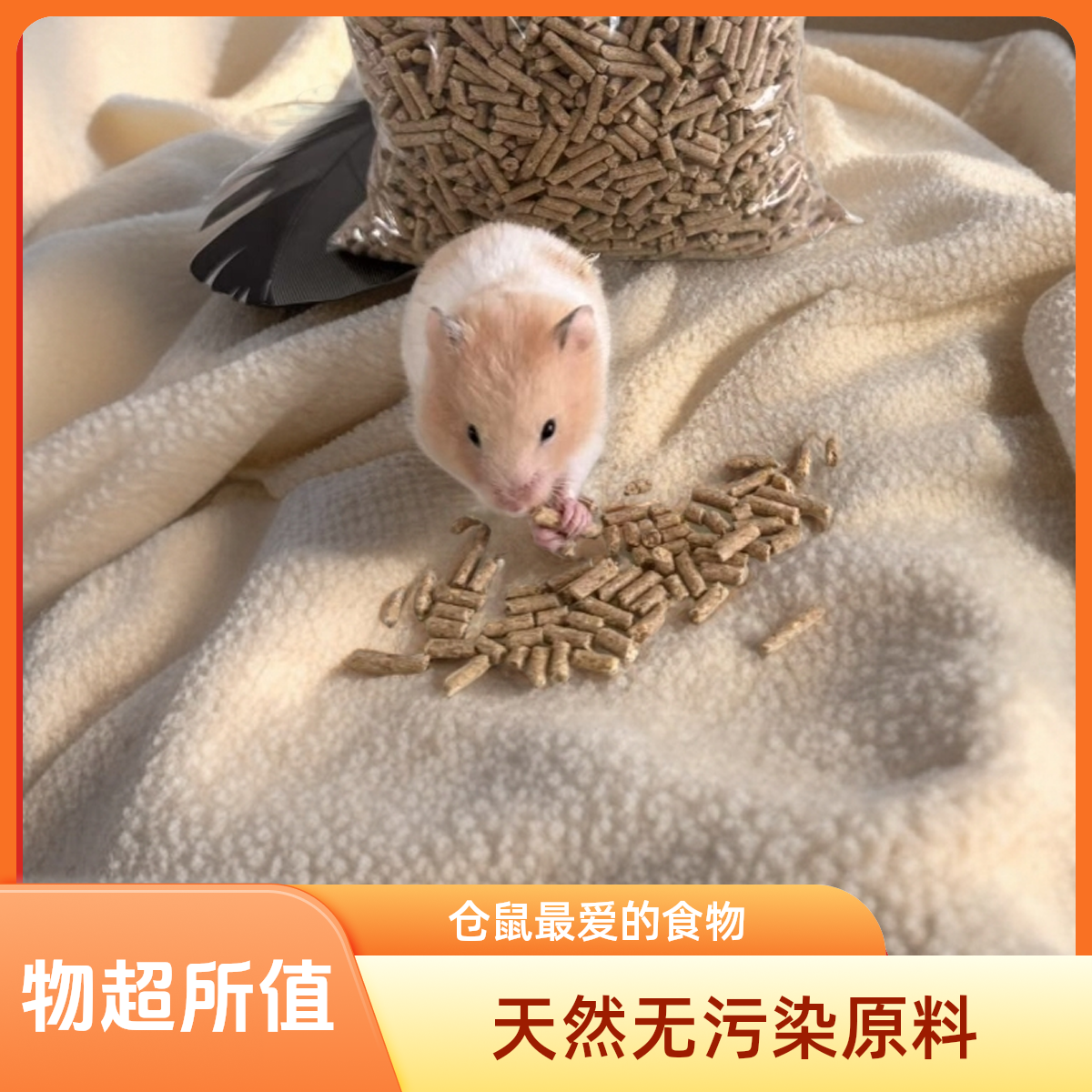 鼠粮从小吃到大的鼠粮适合我们的仓鼠