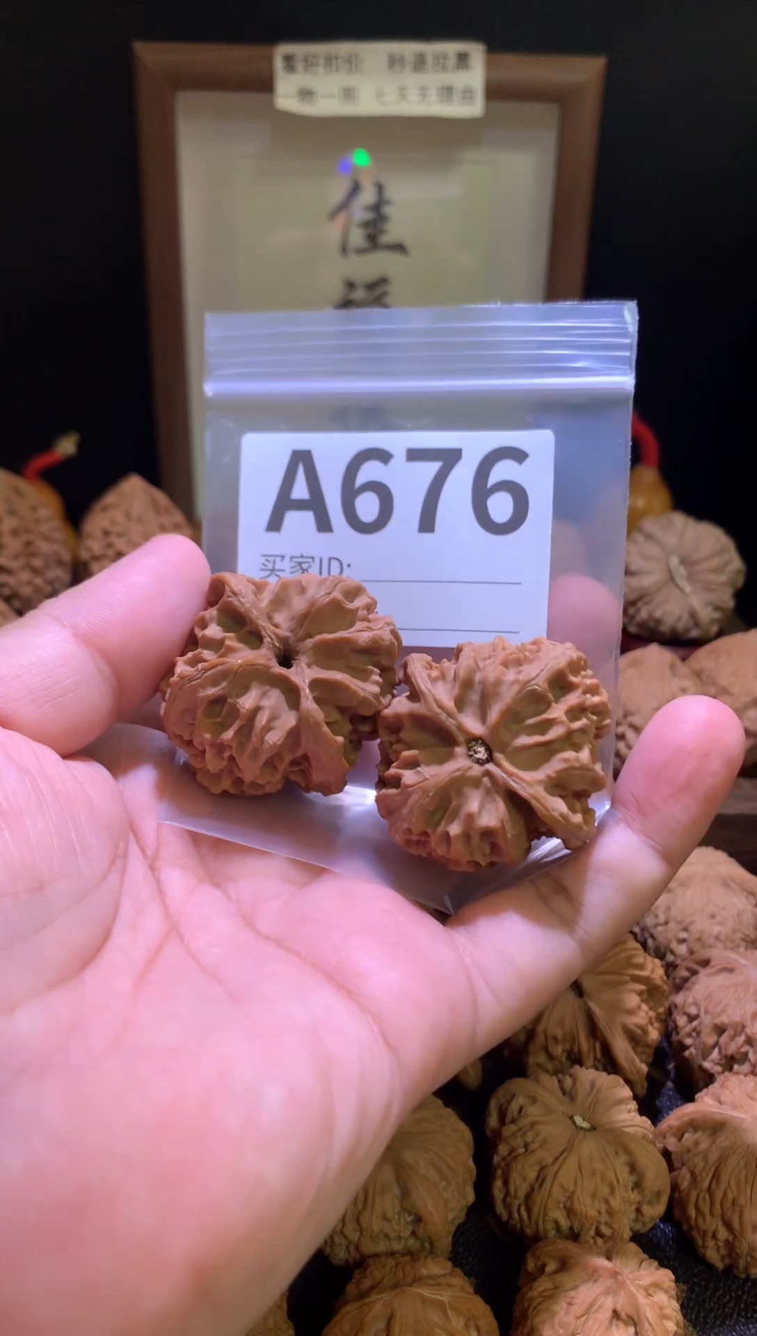 把件文玩核桃李**管苹果园42尺