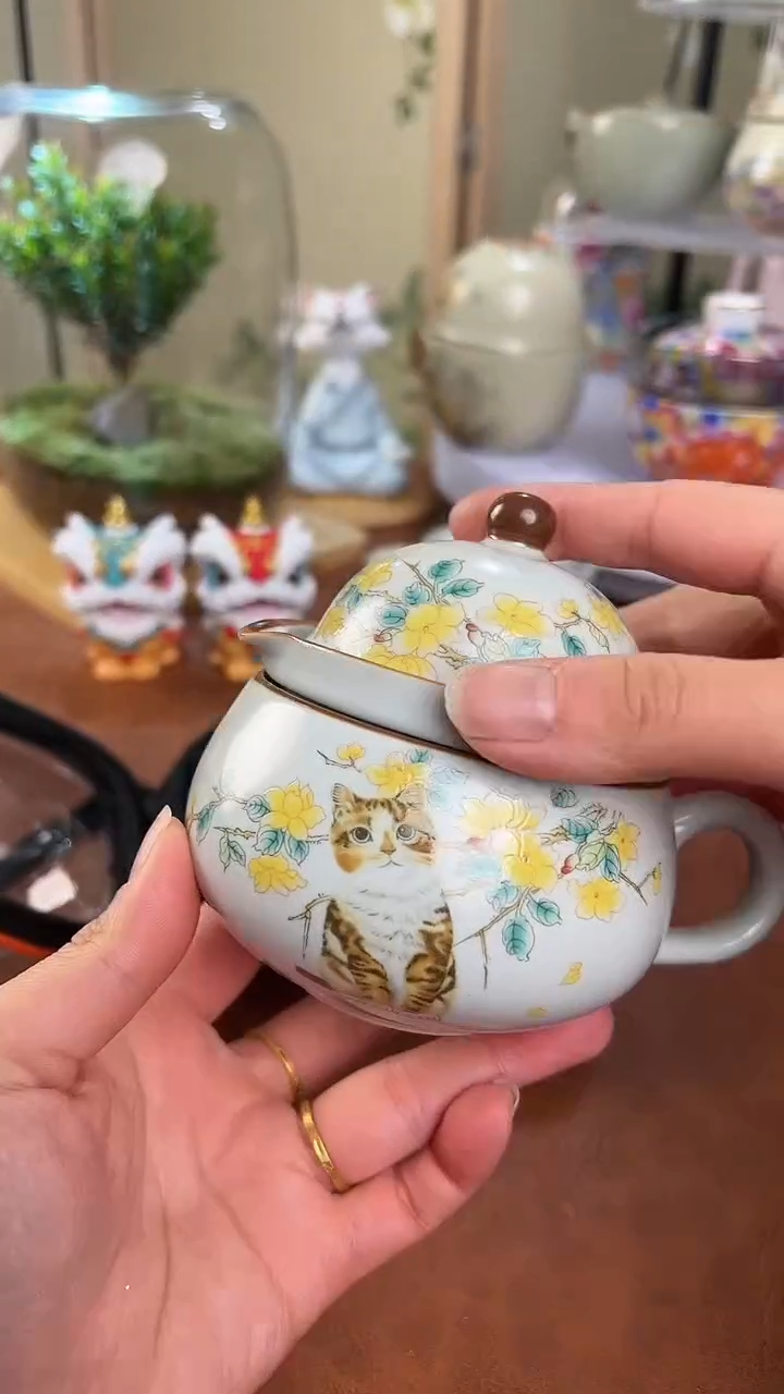 【闪购商品】老实人茶具铺快客