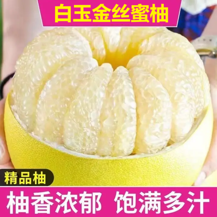 【老树精选果】福建白金奶糖柚水晶柚白心柚白平和琯溪蜜柚金丝蜜