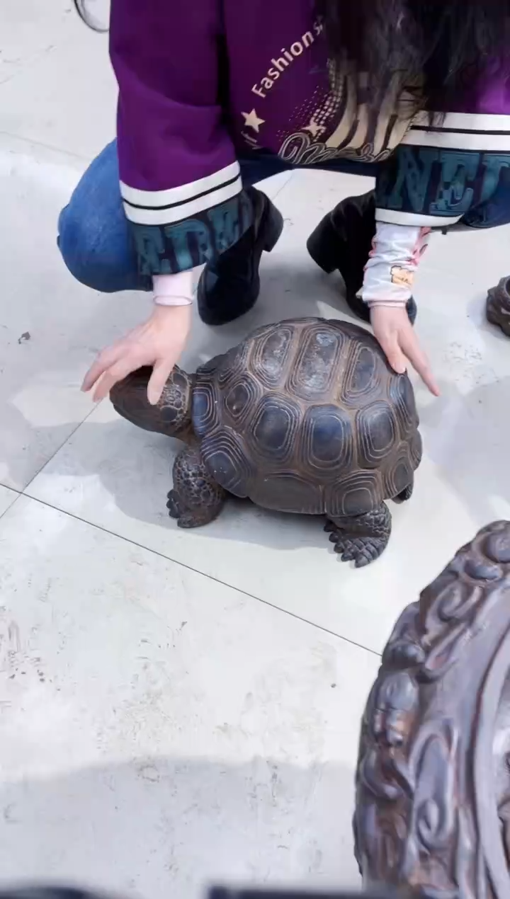 【闪购商品】复合盆y-068