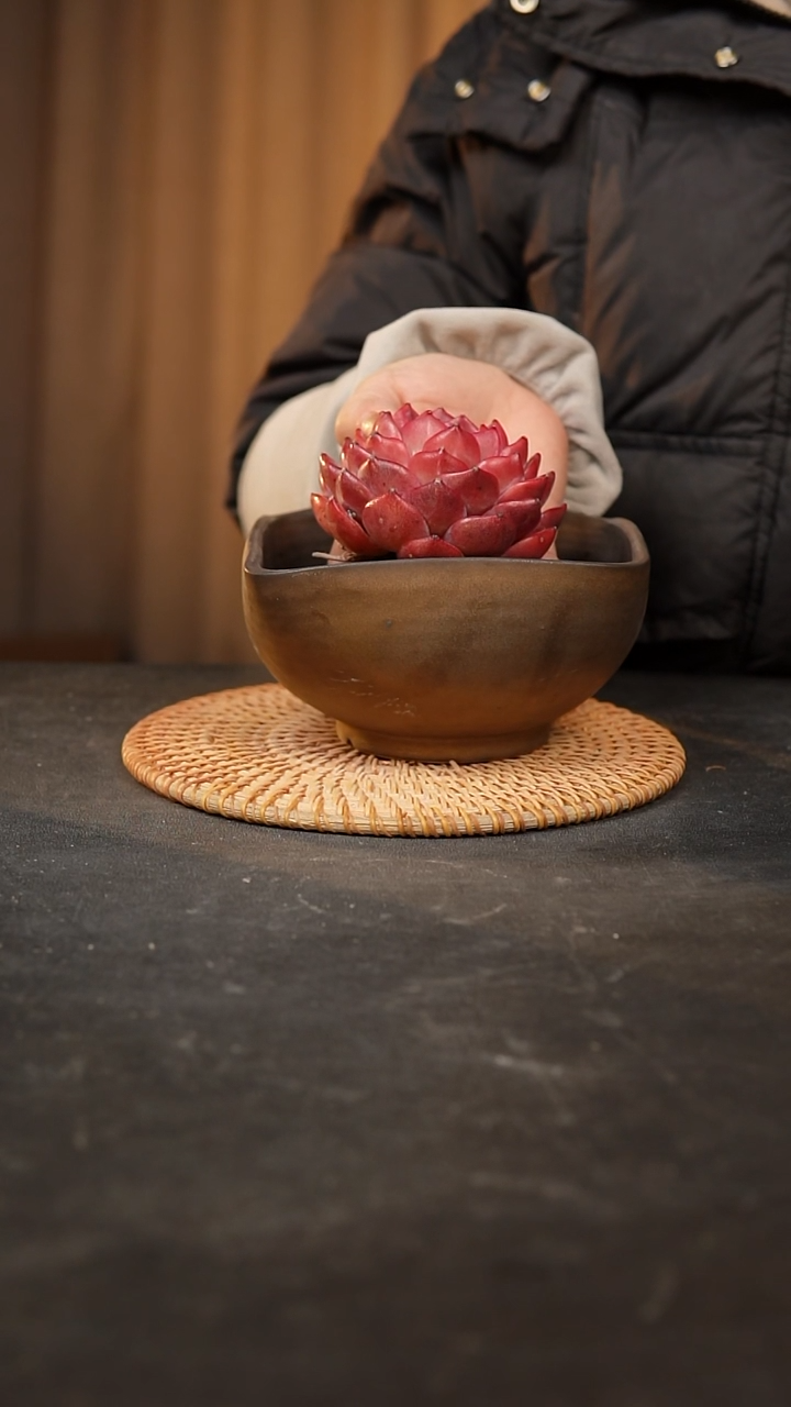 【闪购商品】瓷片泥泥手工花盆口12
