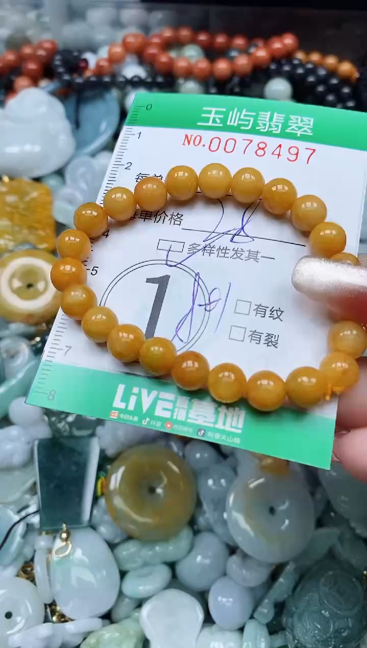 【闪购商品】翡翠颈饰未镶嵌闪购0078497多样性发其一