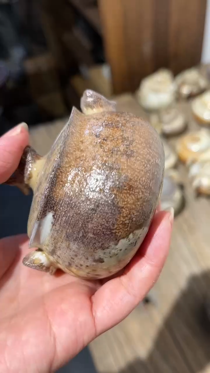 【闪购商品】壶1号容量100-120ML瑕疵掉皮