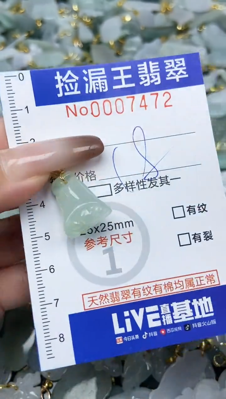 翡翠未镶嵌颈饰天然A货翡翠