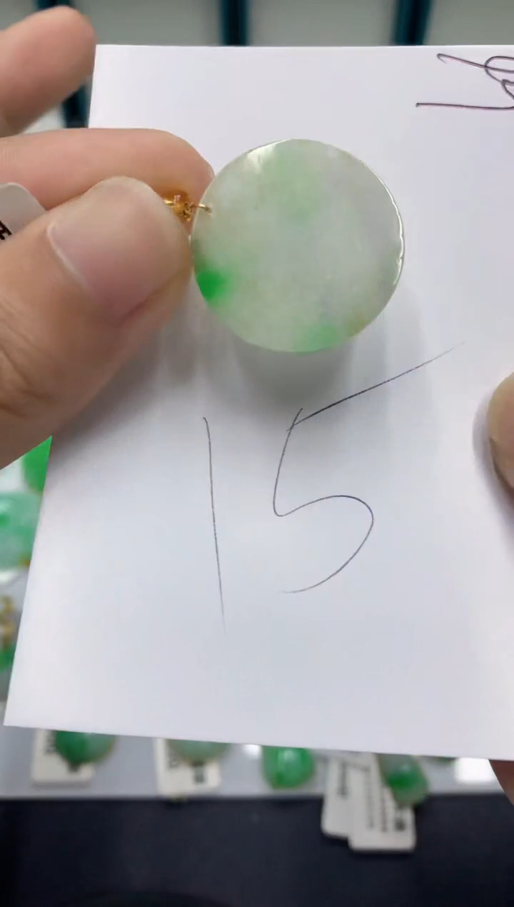 【闪购商品】翡翠颈饰未镶嵌翡翠