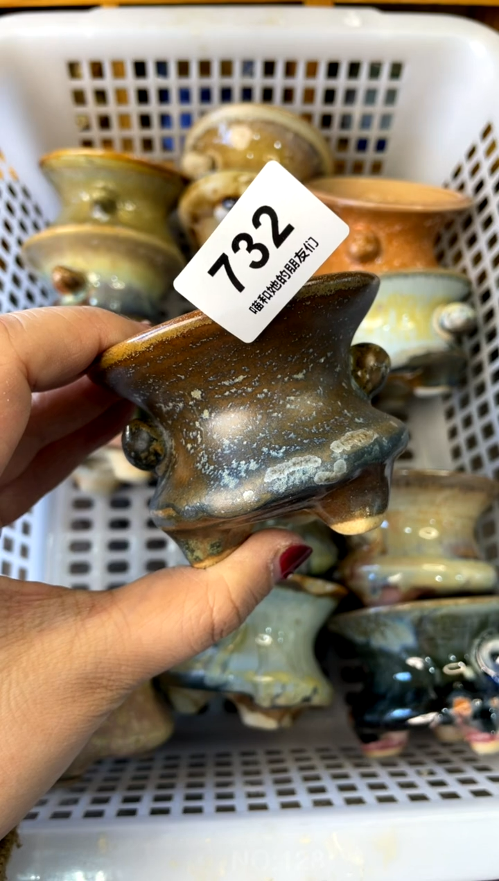 【闪购商品】陶732 内口6.5【多肉花盆多肉盆】