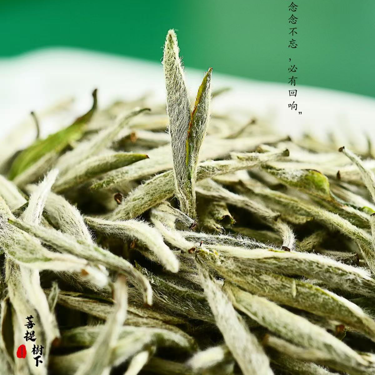 陆羽峰-金骏眉木箱