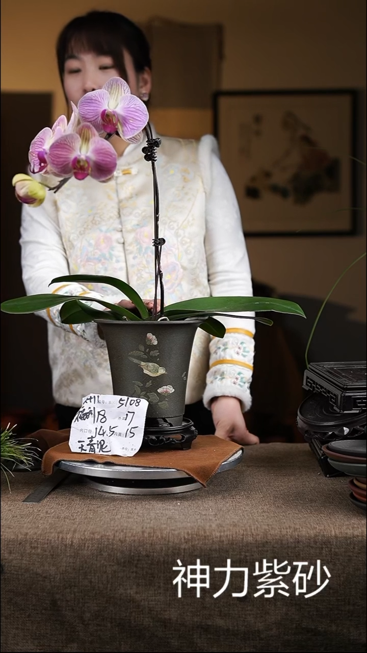 【闪购商品】紫砂花盆紫砂花盆5108