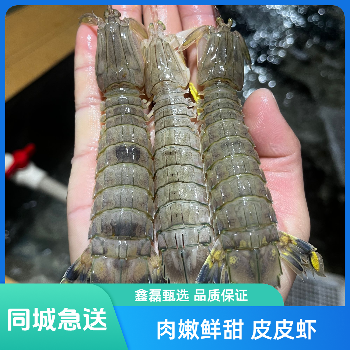 【保鲜不保活】鲜活皮皮虾海捕椒盐香辣