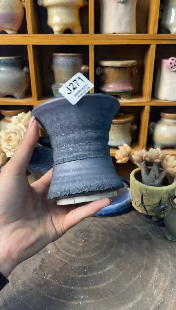 控**。271【多肉花盆多肉盆】