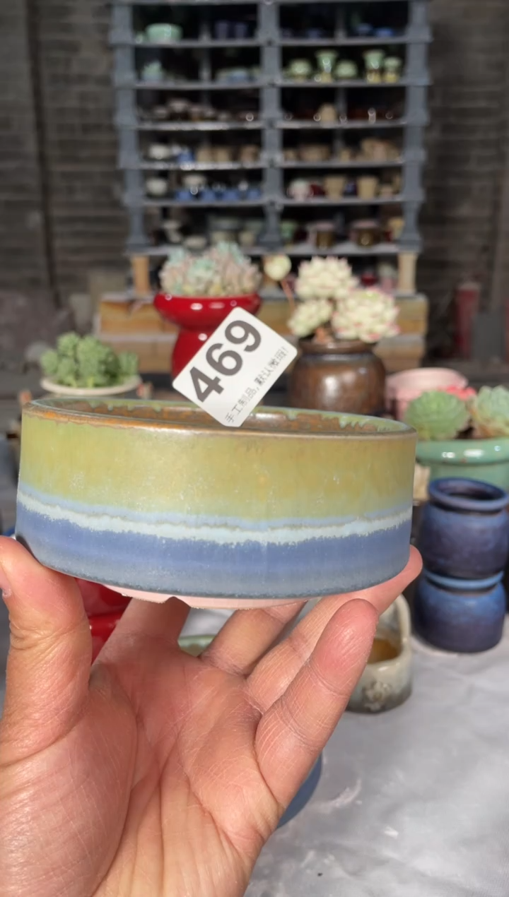 瓷片469小芳直播编号