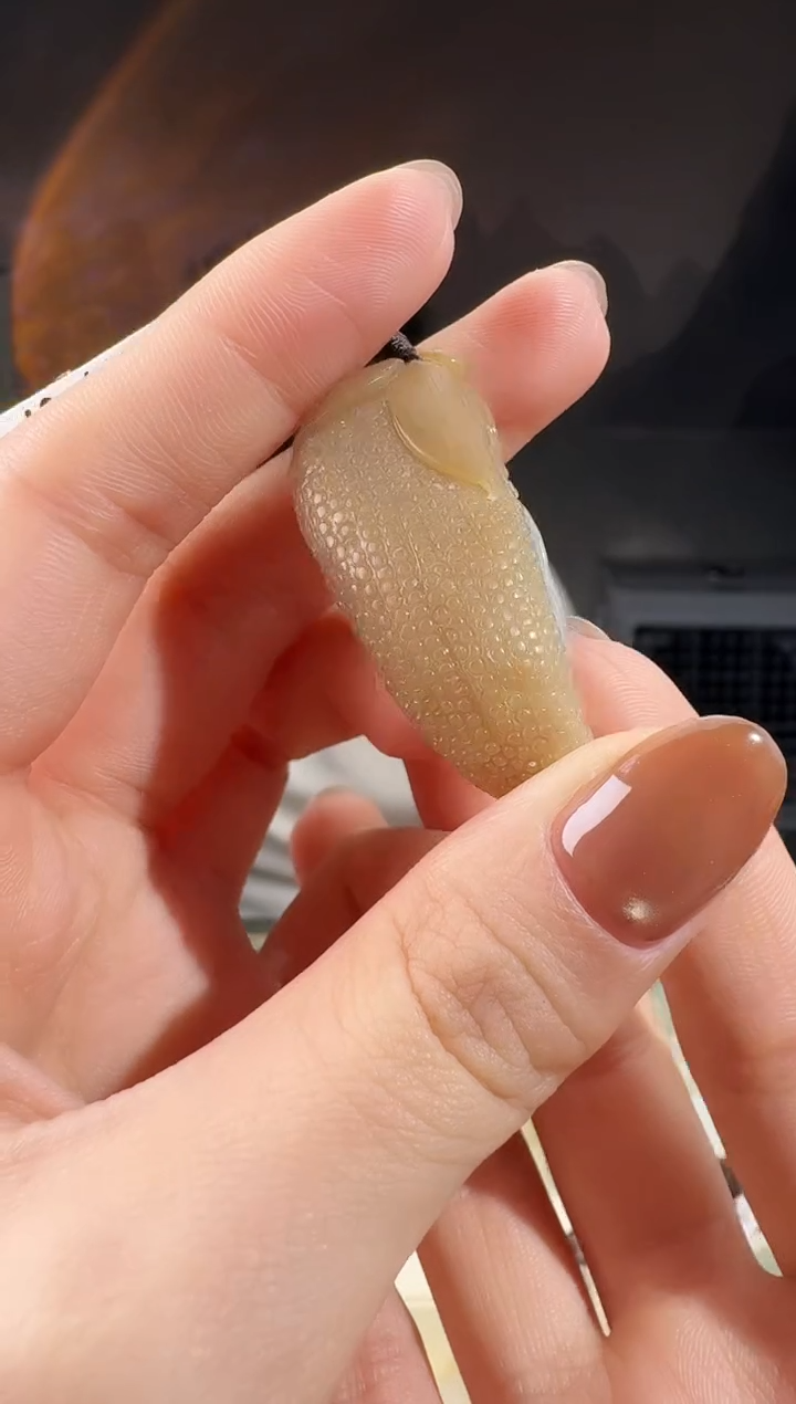 颈饰未镶嵌和田玉玉米