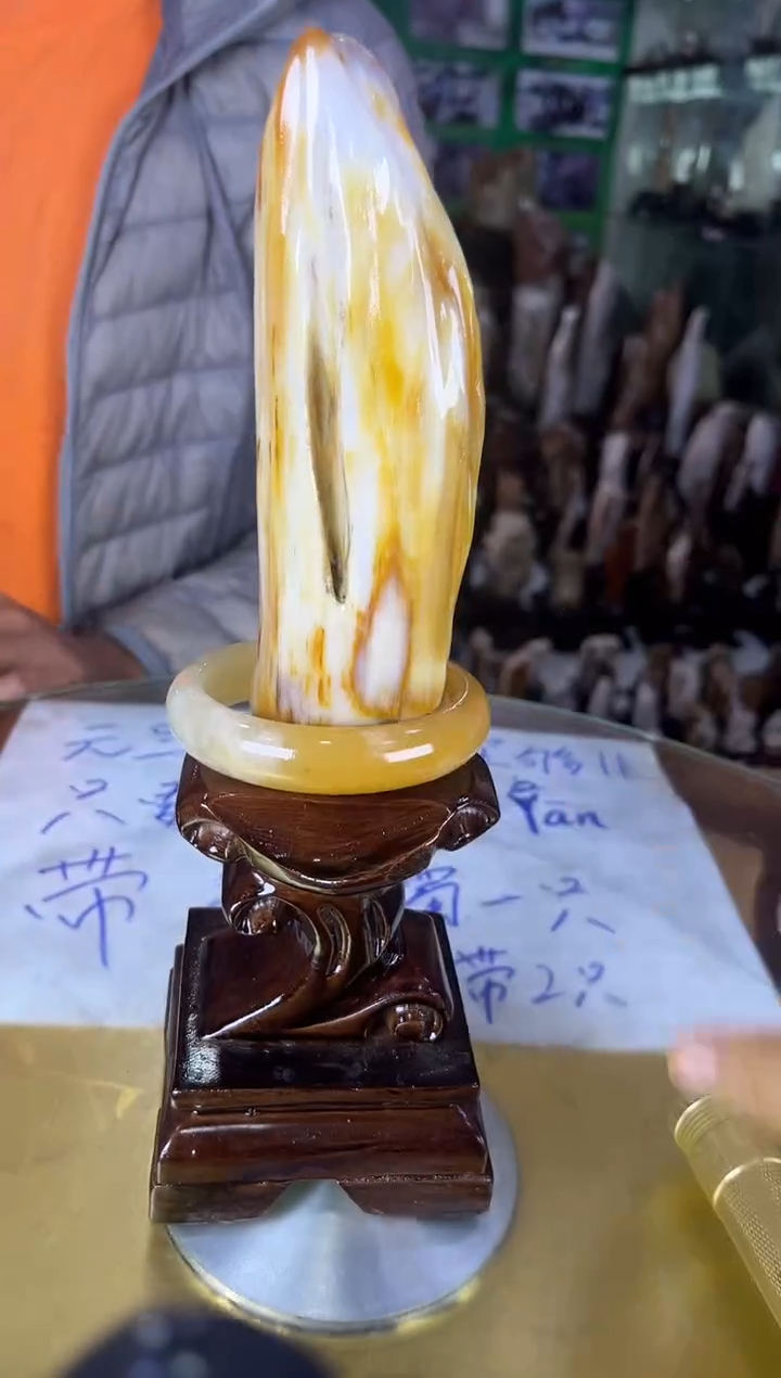 未镶嵌珠宝奇石硅化玉缅甸天然树化玉精品居家摆件
