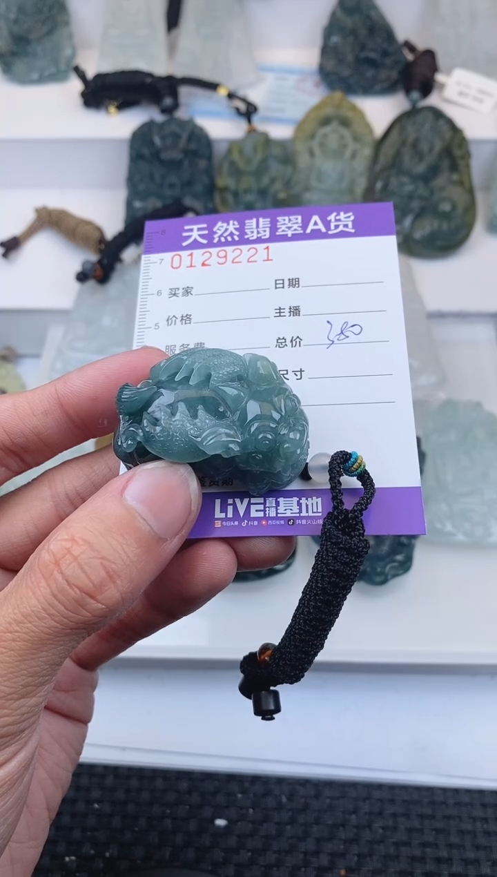 【闪购商品】翡翠颈饰未镶嵌        221