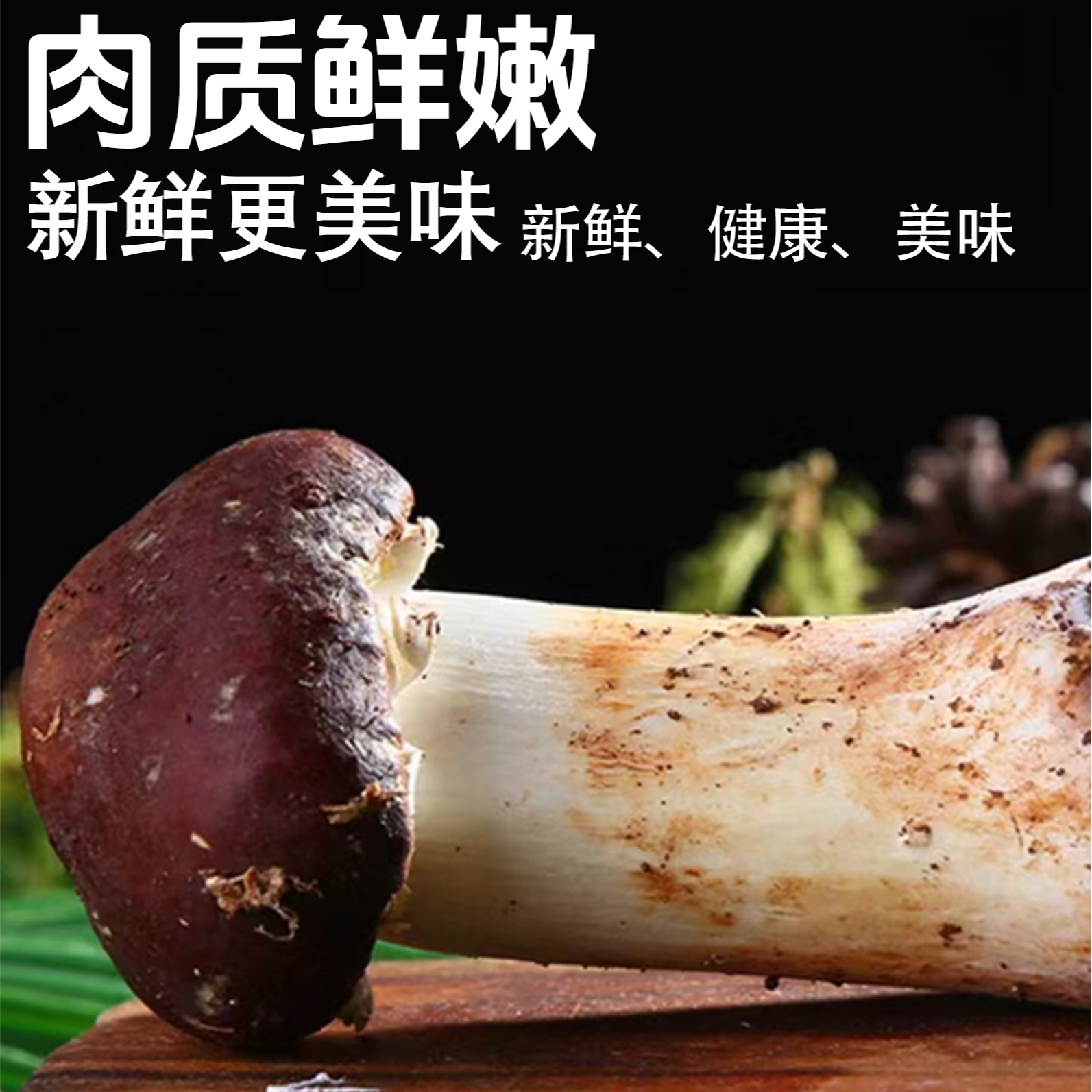 新鲜赤松茸绿色健康无农药无添加绿色健康净重1.8斤