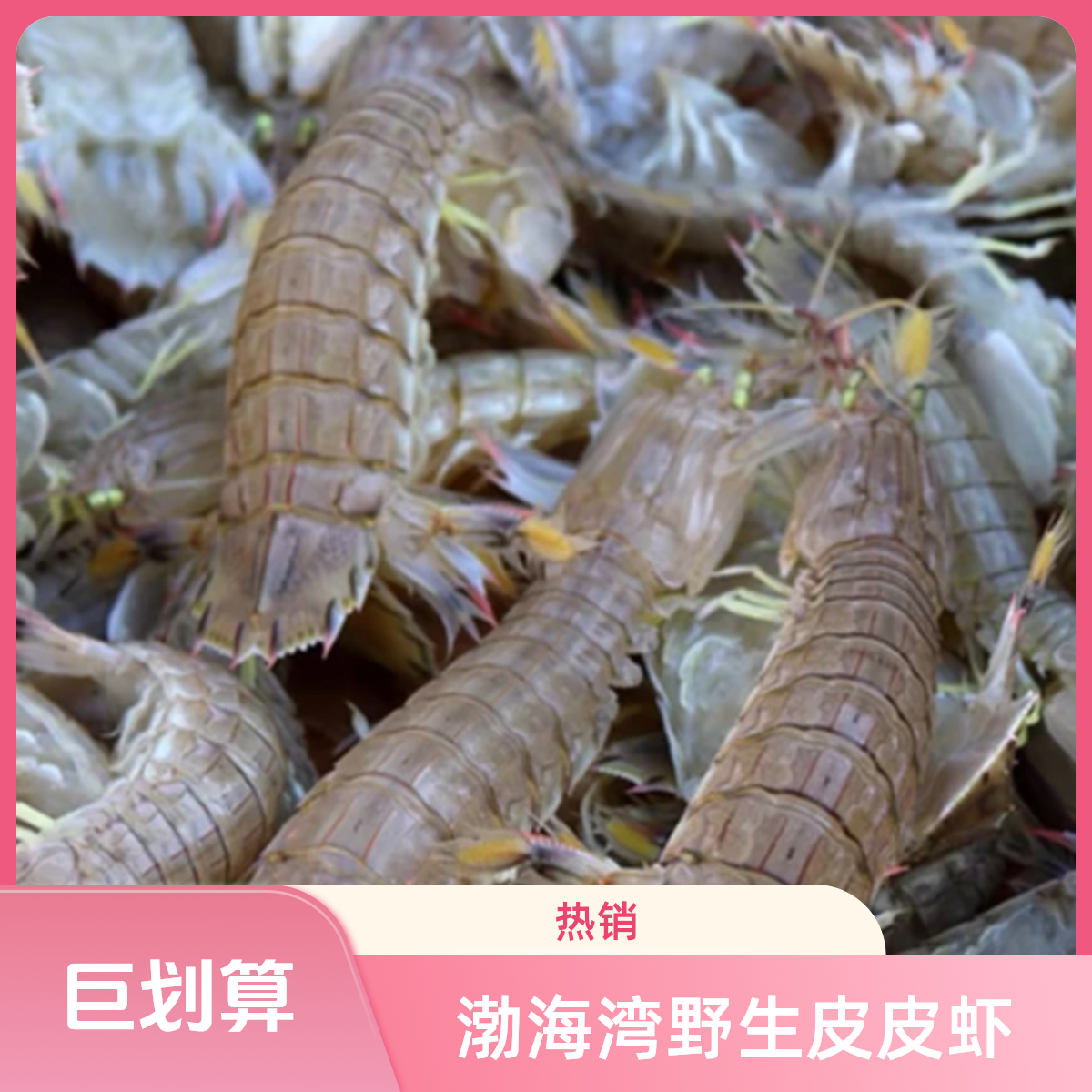 【保鲜不保活】虾蟹拼皮皮虾一斤10-15只花盖蟹一斤6-10只4斤起拍