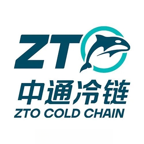 有点多肉精品多肉一物一拍冷链发货美观简单植物
