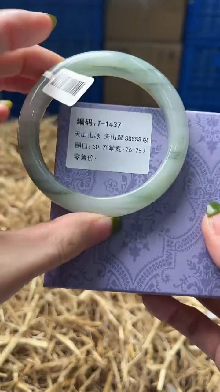 未镶嵌手镯石英质玉T1437