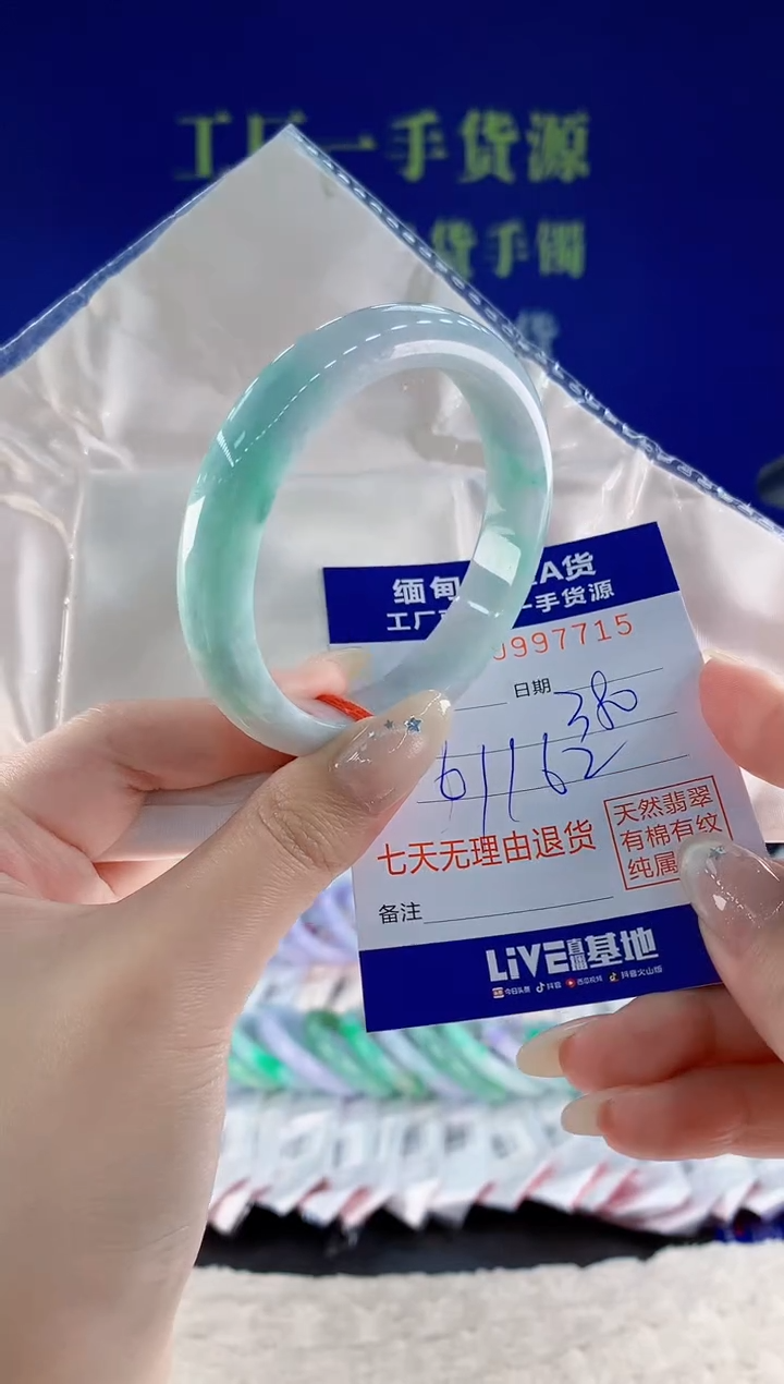 未镶嵌手镯翡翠15